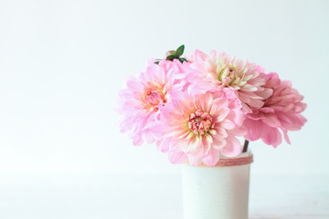 pink flowers in a vase on a white background. floral background. bouquet of pink dahlias close-up.