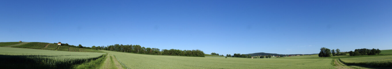 Zwischen Bischwind und Dingolshausen