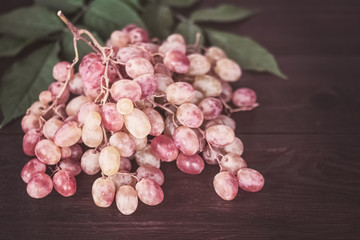 branch of pink grapes closeup. background with fresh grapes.