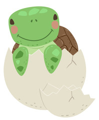 Animal Hatch Egg Turtle Illustration