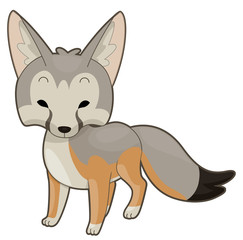 Desert Kit Fox Illustration