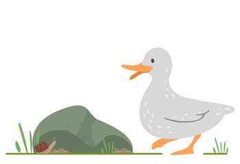 Duck Snail Illustration