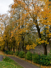 autumn landscape with beautiful and colorful trees, road, cloudy autumn day