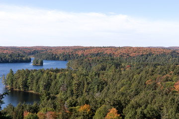 View of the Cache Lake in autumnal Algonquin National Park. Ontario. Canada