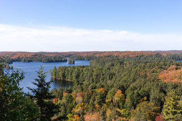 View of the Cache Lake in autumnal Algonquin National Park. Ontario. Canada