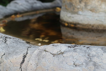 Ancient fountain in the castle. Fountain with angels.