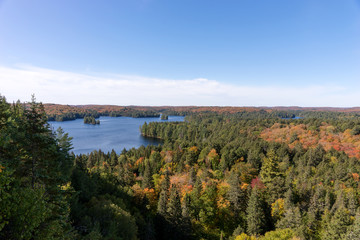 Fototapeta na wymiar View of the Cache Lake in autumnal Algonquin National Park. Ontario. Canada