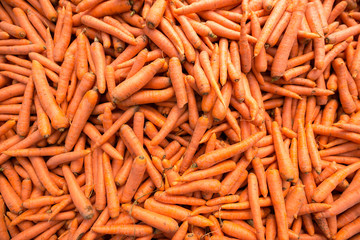 Top view of pile of carrots. Background concept. Fresh organic raw food.