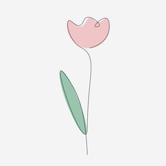 Spring pink flower, tulip one line drawing, vector illustration