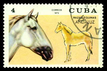  Postage stamp.  Andalusian horse.