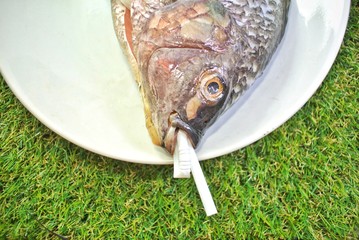 Plastic bag in the belly of the fish, Concept No Plastic Zero Waste plastic .