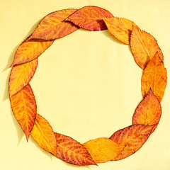 Autumn composition. Wreath made of autumn leaves on yellow background. Round frame. Thanksgiving concept. Copy space