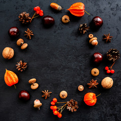 Obraz na płótnie Canvas Autumn composition. Wreath made of acorns, chestnuts, cones, physalis, rowan berries on black background. Round frame