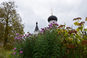autumn forest on a cloudy day