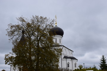 autumn forest on a cloudy day