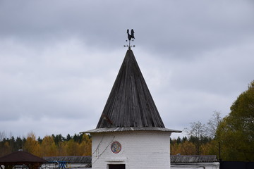 autumn forest on a cloudy day