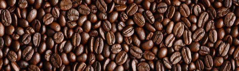 panoramic background of roasted arabica coffee beans for banner