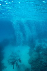 Fototapeta premium Great barrier reef, Australia: Divers swimming on the bottom, bubbles go to the surface