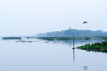 Lake