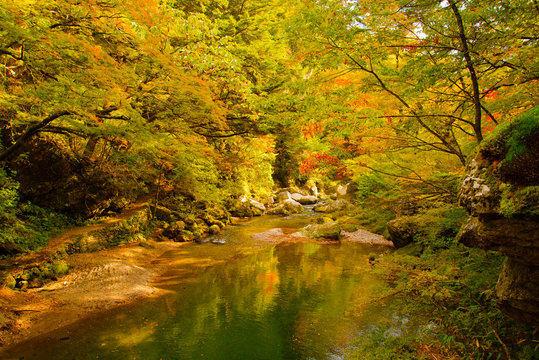 写真素材：小田深山、愛媛県、紅葉、秋、オレンジ、風景