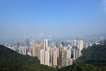 Fototapeta premium Bird view from Victoria peak, Hong Kong