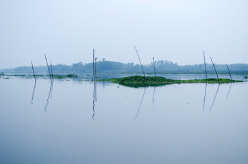 Still lake