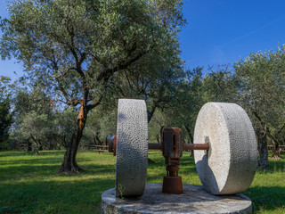 Ölmühle, Steinerne Mahlsteine in einem Olivenhain, Olivenbäume (Olea europaea), Punta San...