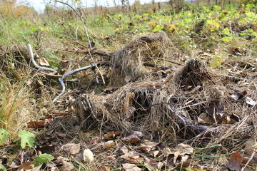  photo of an old bike. he's lying on the ground. transport overgrown with dry grass.this place is a swamp.the fall of the year.