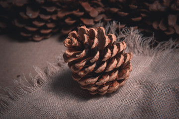 Christmas background.Brown pine cone on canvas
