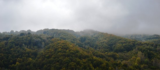 Fototapeta na wymiar autumn landscape of nature and fog
