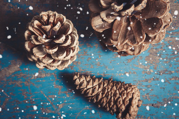 Brown  pine cones