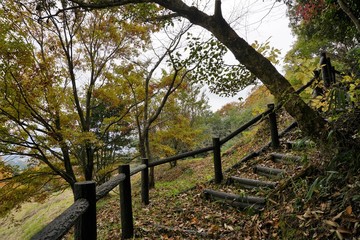 自分だけの山の中の階段