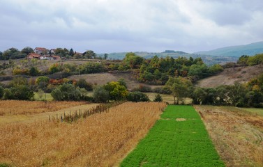 landscape fields in the village