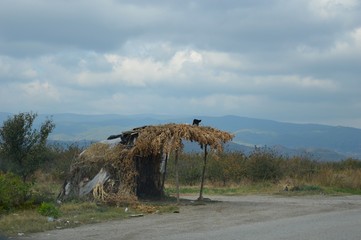 rain shelter on the road