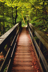 Nature landscape view in the mountain forest with a wooden path bridge with green nature. Hiking exploring adventure. Wurmberg, Braunlage Harz National Park, German Mountain