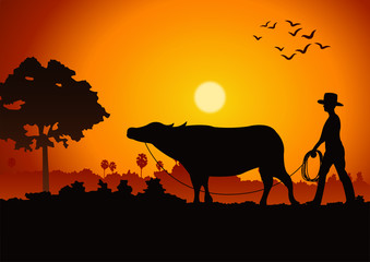 sunset landscape and country life with a man lead buffalo around with tree.countryside of east lifestyle.vector illustration