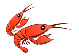 cartoon shrimp,isolated,vector illustration