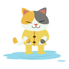 The character of cute cat wear the yellow raincoat and boots. The cute cat sitting on the water. The cute cat look happy. The character of cute cat in flat vector style.