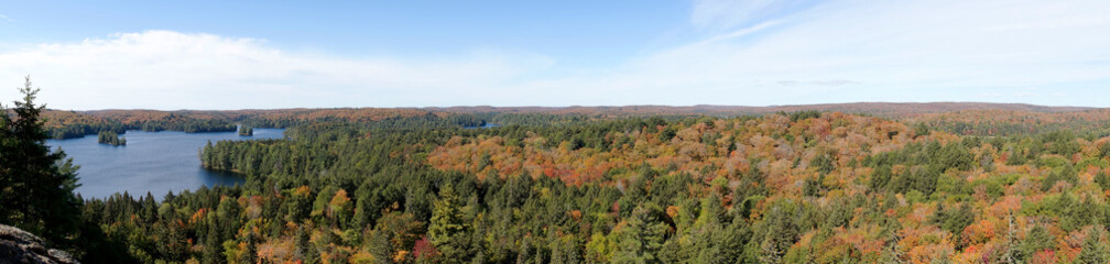 Panorama of the autumnal Algonquin National Park with the Cache Lake. Ontario. Canada