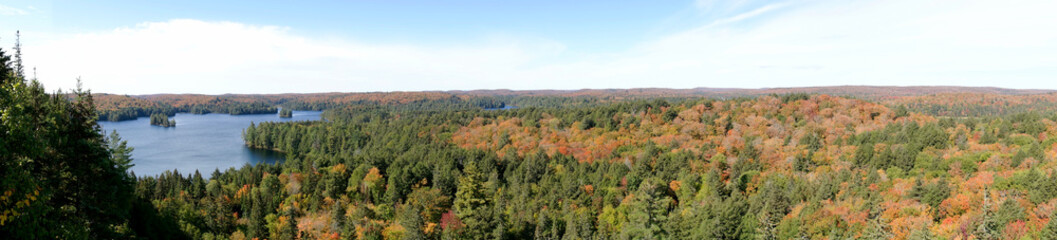 Panorama of the autumnal Algonquin National Park with the Cache Lake. Ontario. Canada