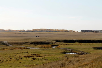 Fototapeta premium landscape