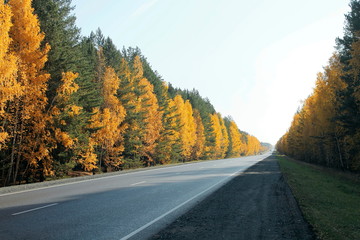 road in autumn