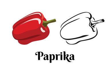 Paprika isolated on white background. Vector color illustration of bell pepper in cartoon flat style and black and white outline. Vegetable Icon.