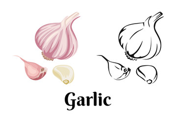 Garlic isolated on white background. Vector color illustration of sliced garlic, garlic clove, garlic bulb in cartoon flat style and black and white outline. Vegetable Icon.