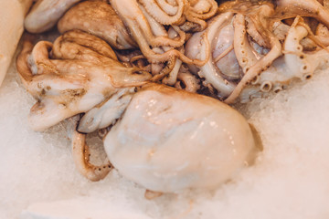 Closeup fresh octopus in ice - seafood - fruit rural market