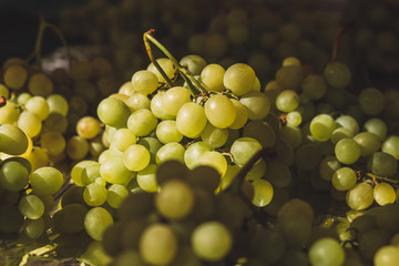 Closeup of fresh white grape raisins - fruit rural market