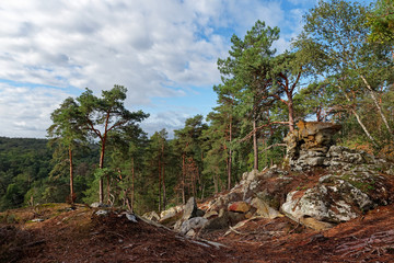 Rocky chaos in Hiking path Denecourt 11. Fontainebleau forest