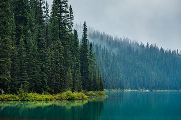 Foggy Lake Louise Lakeshore Trail