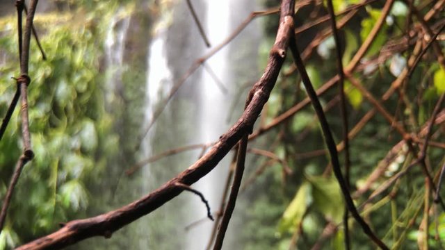 Rising shot of Benang Kelambu Waterfall, Lombok, surrounded by lush vegetation