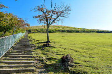 若草山　風景